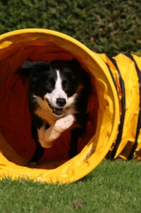 Hermes nel tunnel