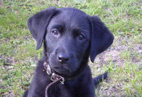 Ellie